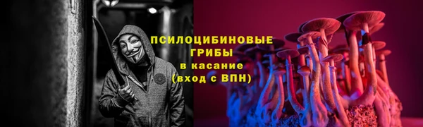 спиды Горнозаводск
