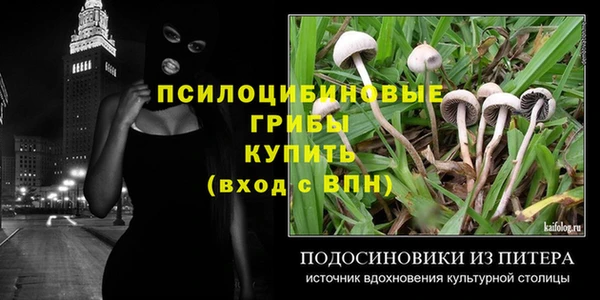 спиды Горнозаводск