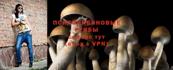 спиды Горнозаводск